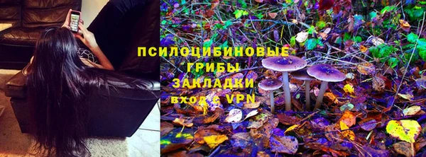 мдма Богородицк