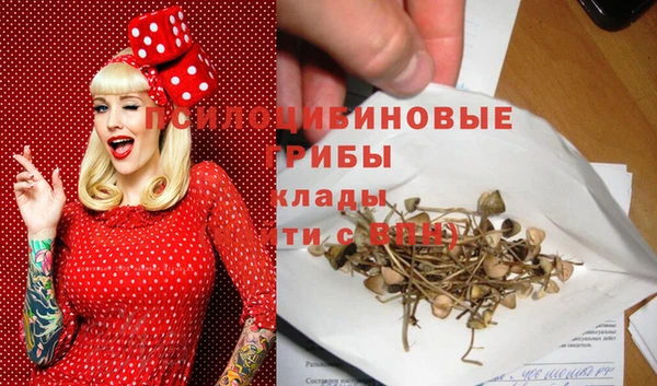 ГАЛЛЮЦИНОГЕННЫЕ ГРИБЫ Нязепетровск