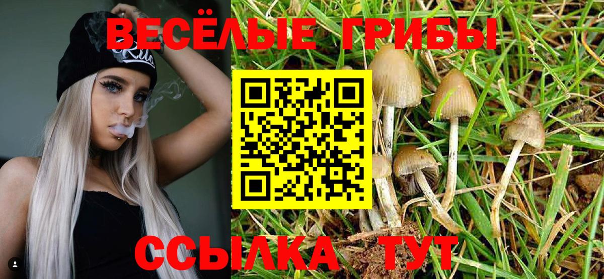 Псилоцибиновые грибы мухоморы Советский