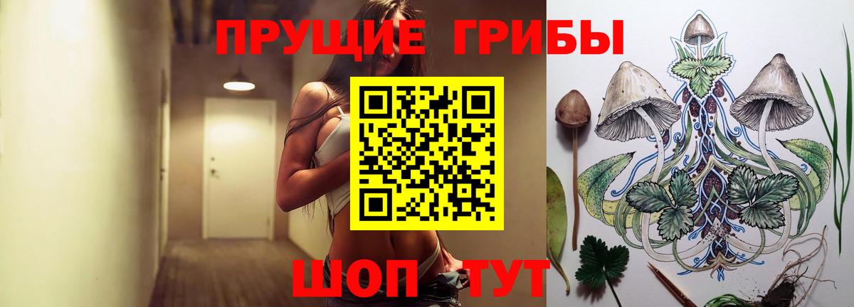 купить наркоту  Вход с VPN  Галлюциногенные грибы мухоморы  Советский  Псилоцибиновые грибы Psilocybe 